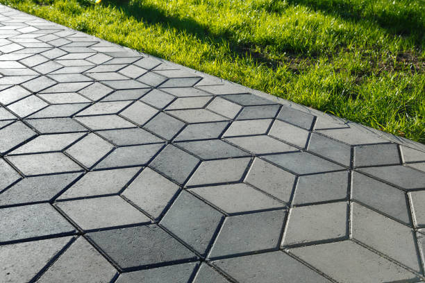 Best Local Driveway Pavers  in Rio Communities, NM